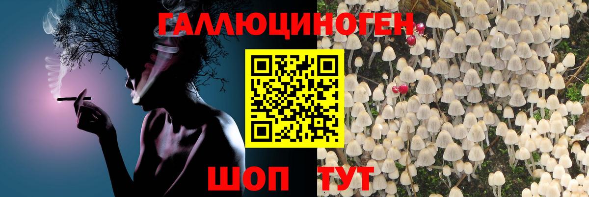 Галлюциногенные грибы мухоморы Сибай