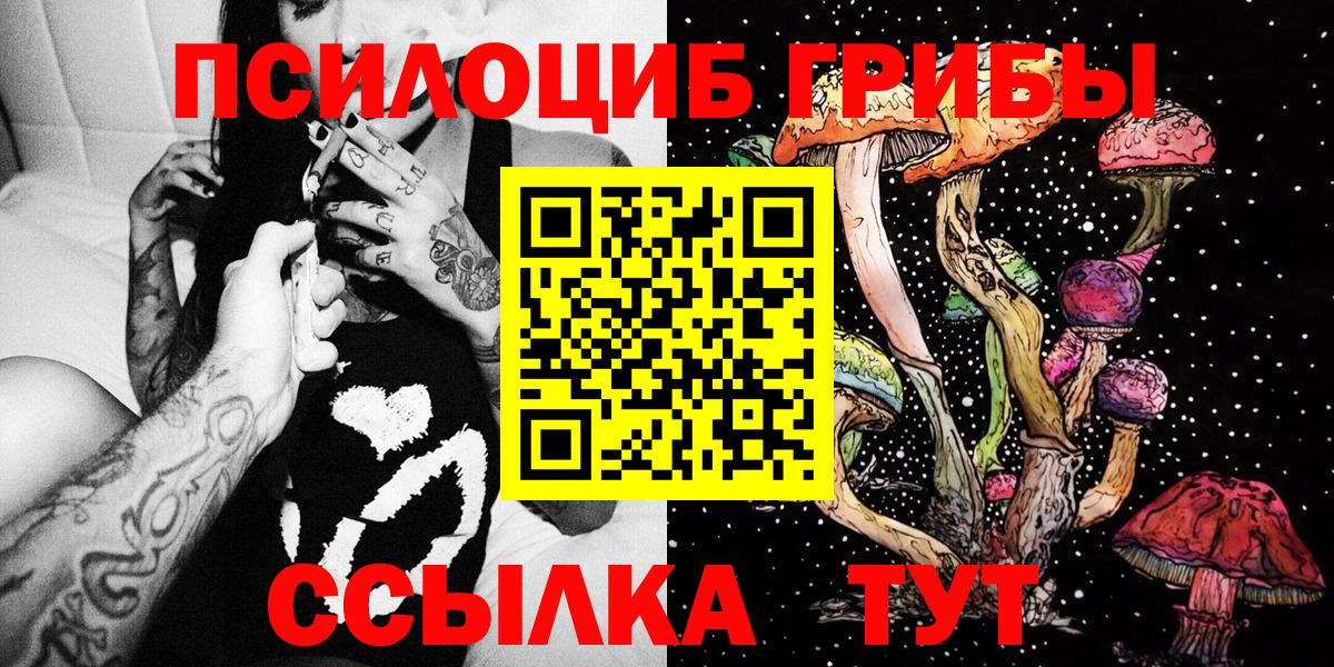 Галлюциногенные грибы Cubensis  Вход с VPN  Сибай 